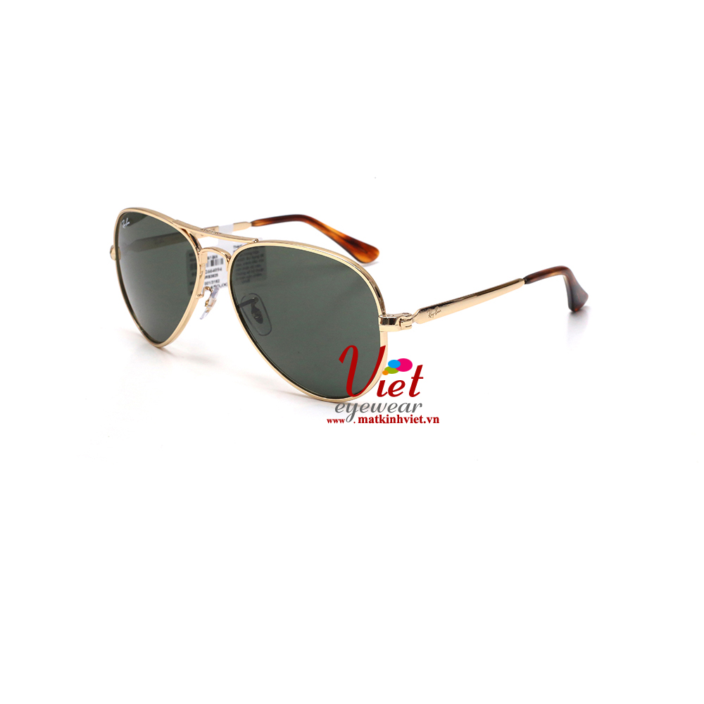 Kính mát RayBan RB3925 001/31